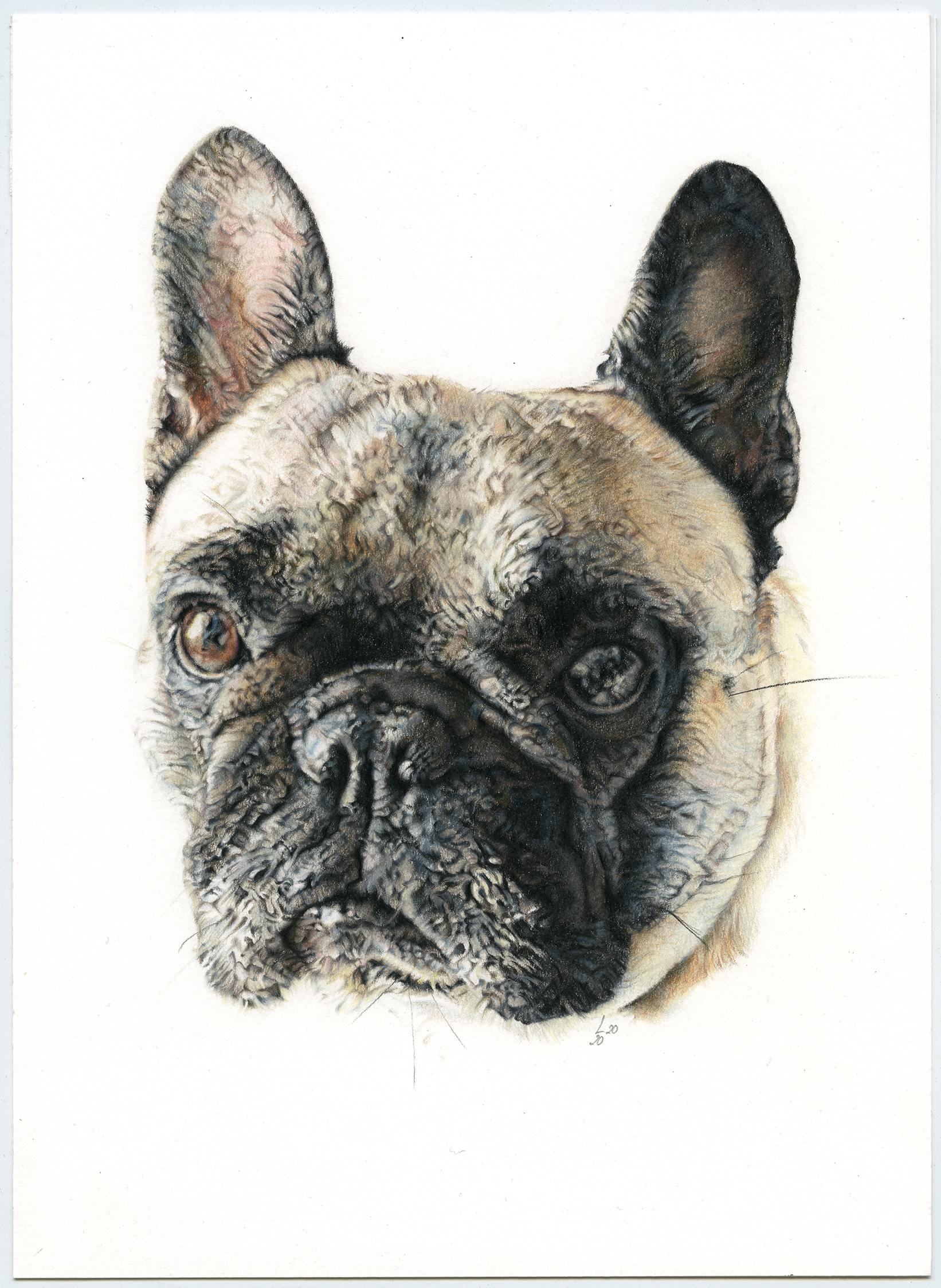 Retrato de Darko