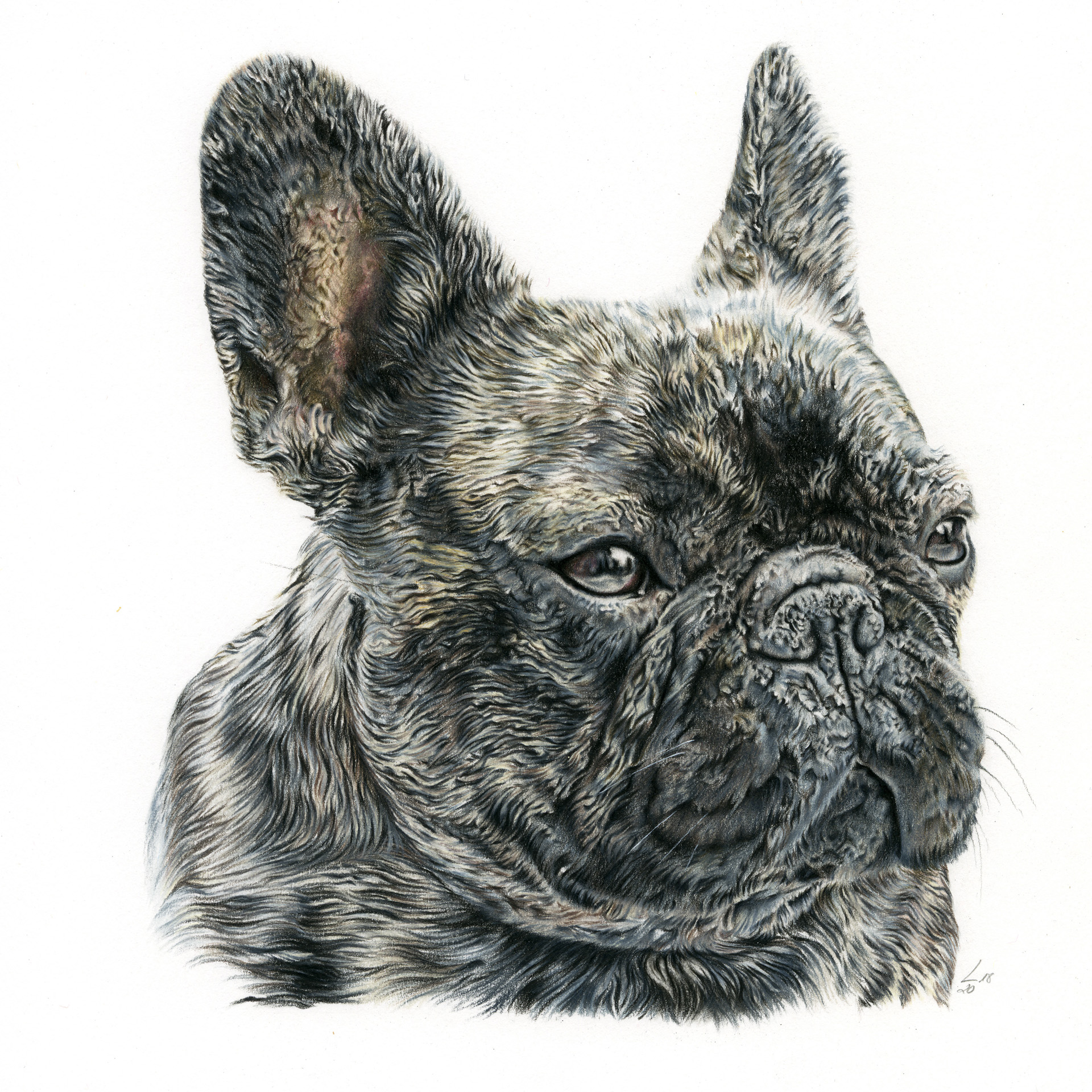 Retrato de Bronx