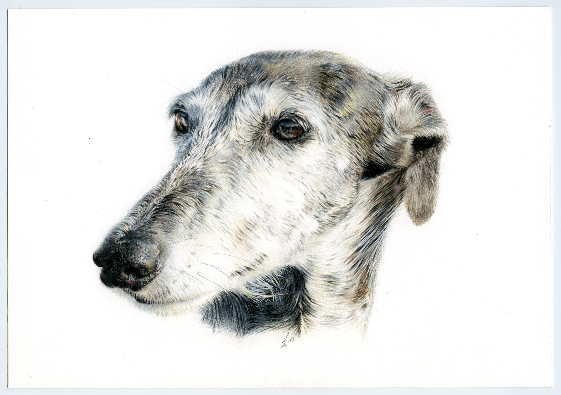 Retrato de Kirah