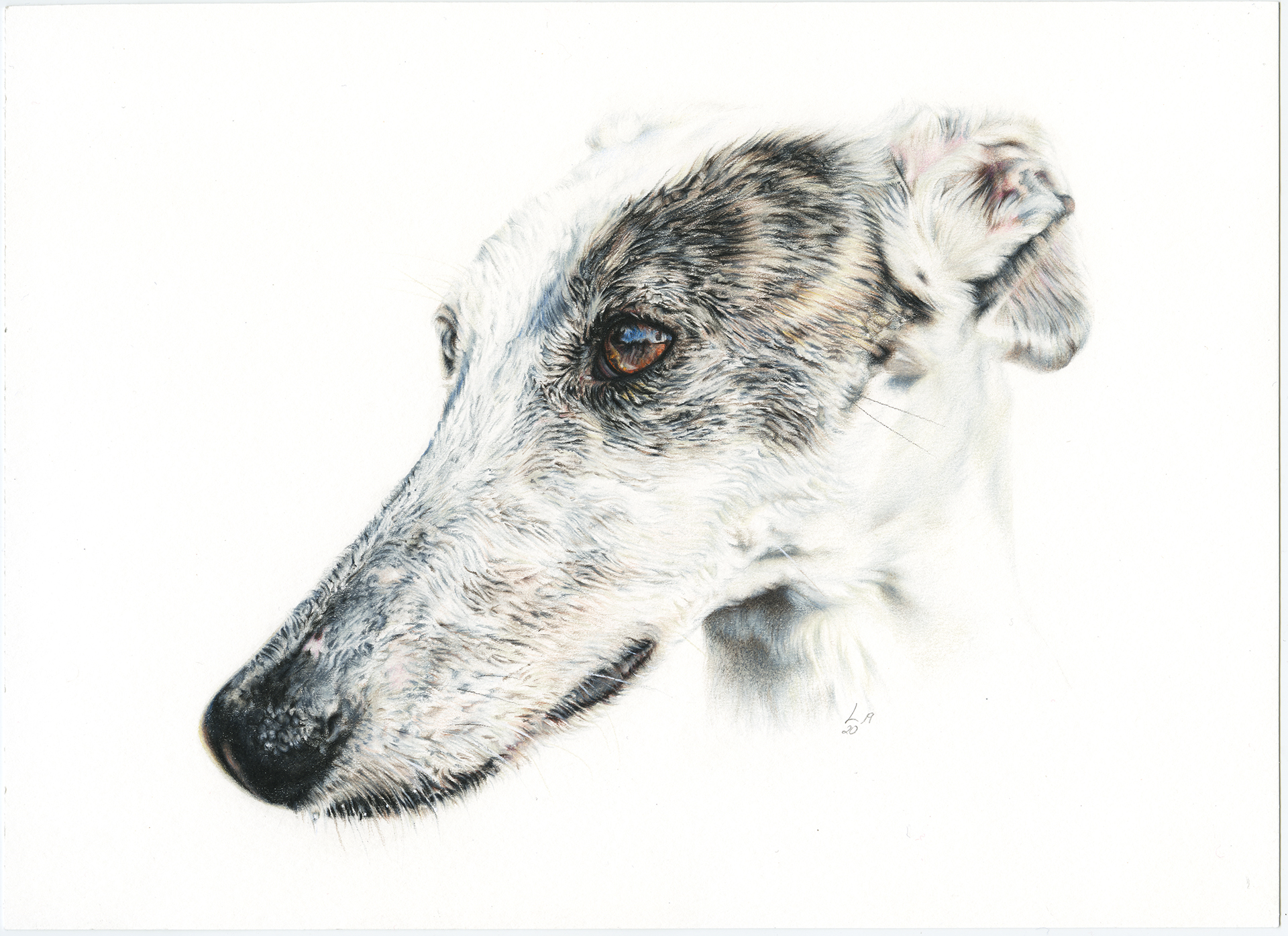 Retrato de Kleo