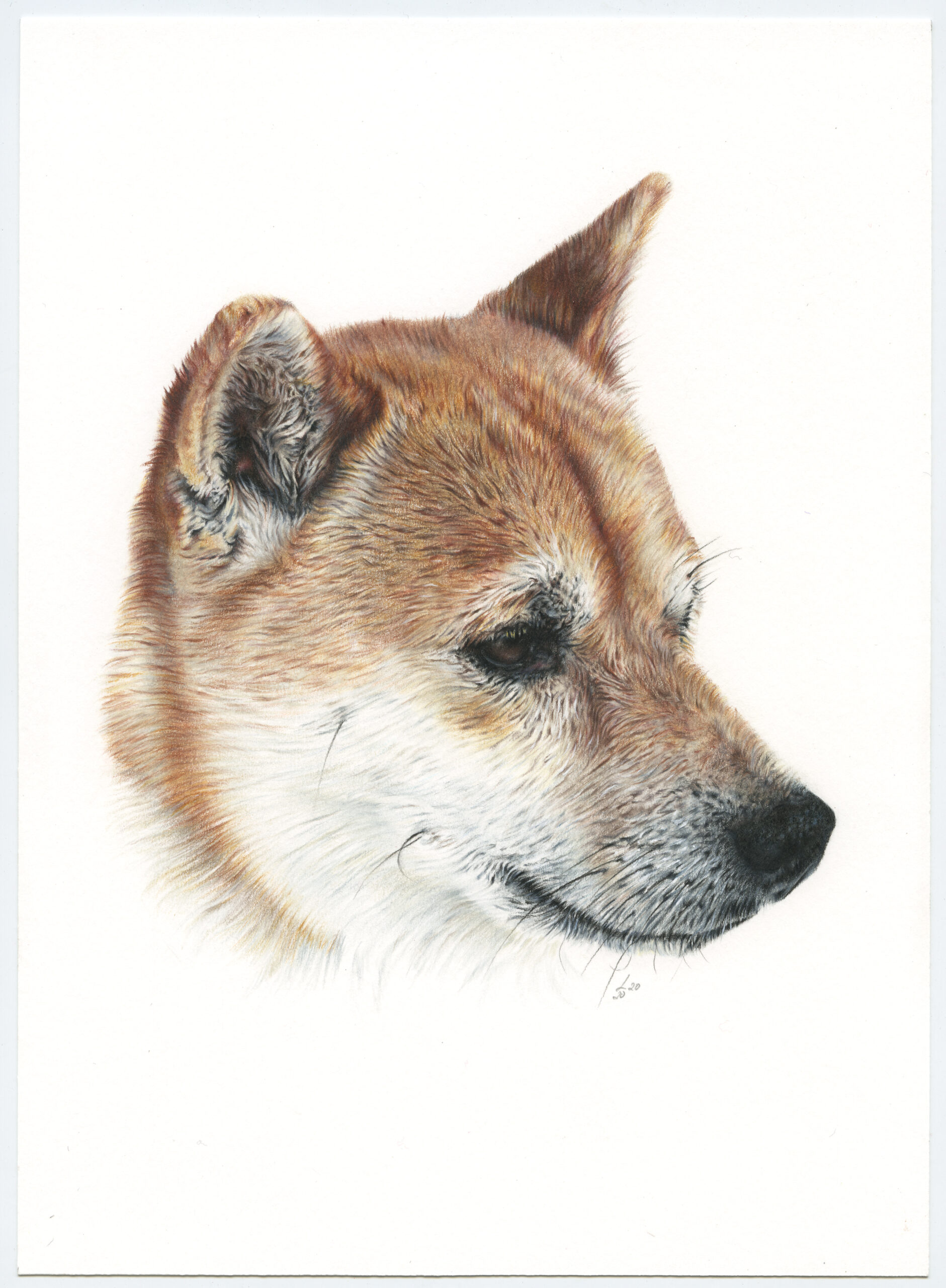 Retrato de Kyo