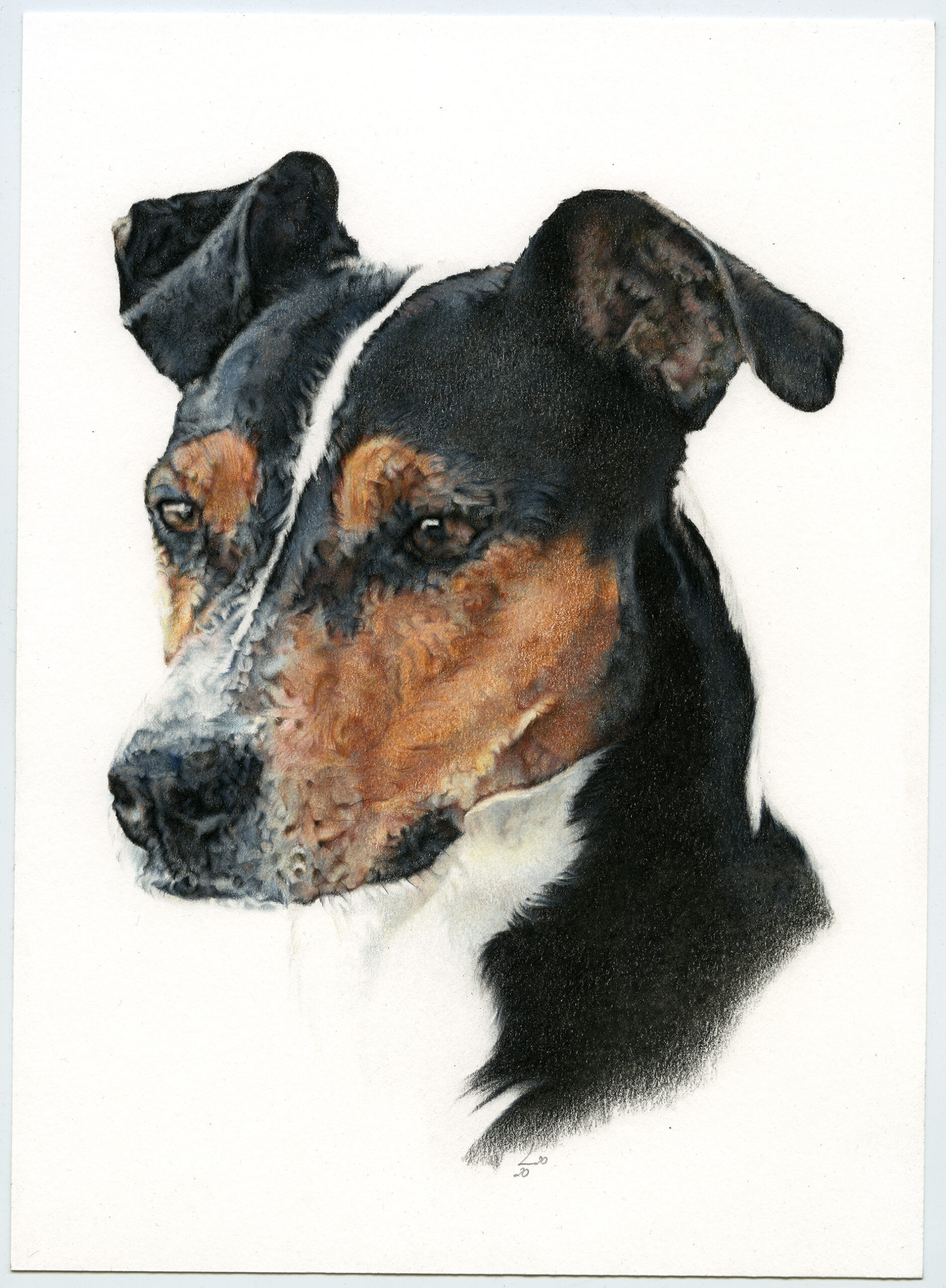 Retrato de Leo