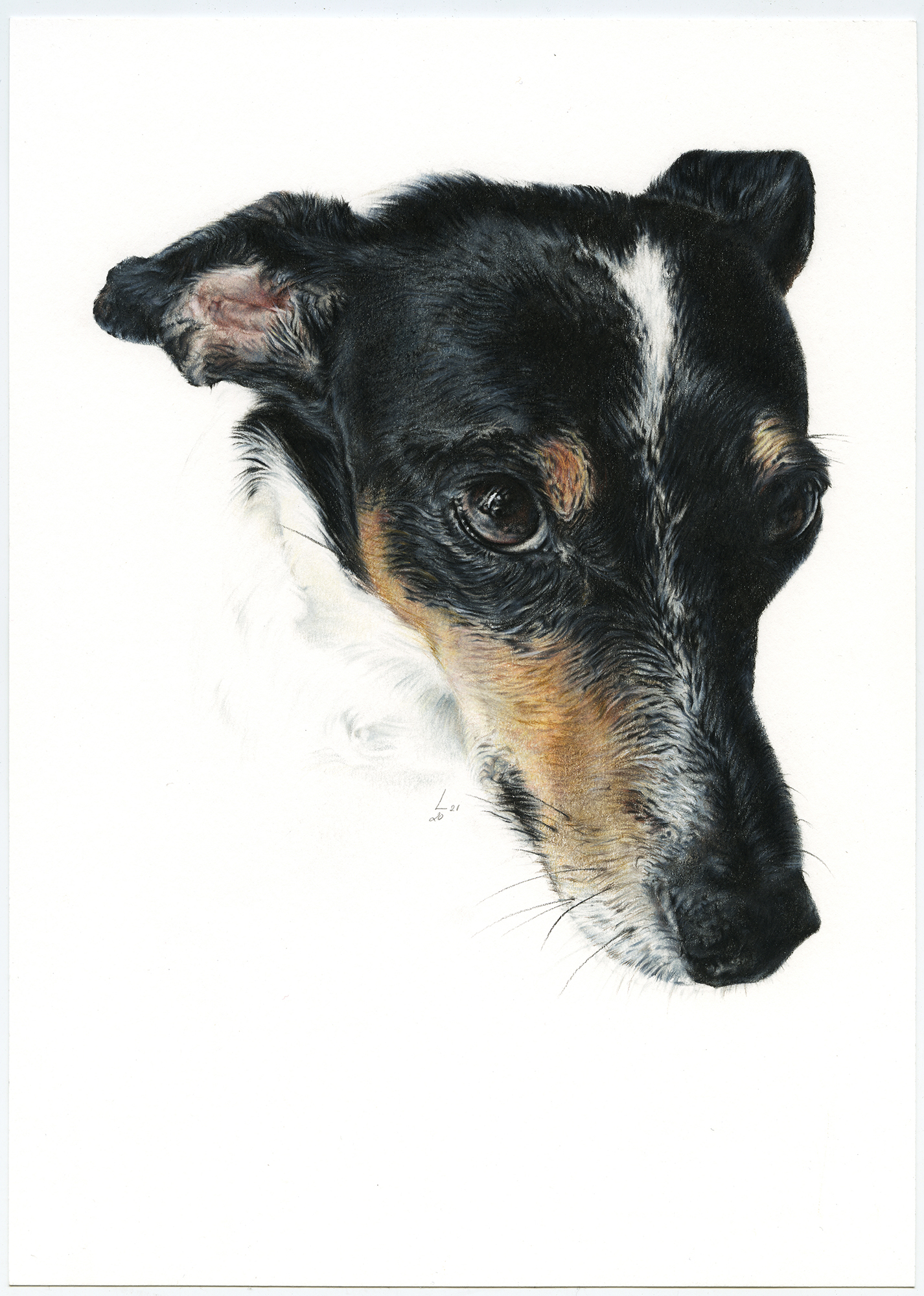 Retrato de Lola