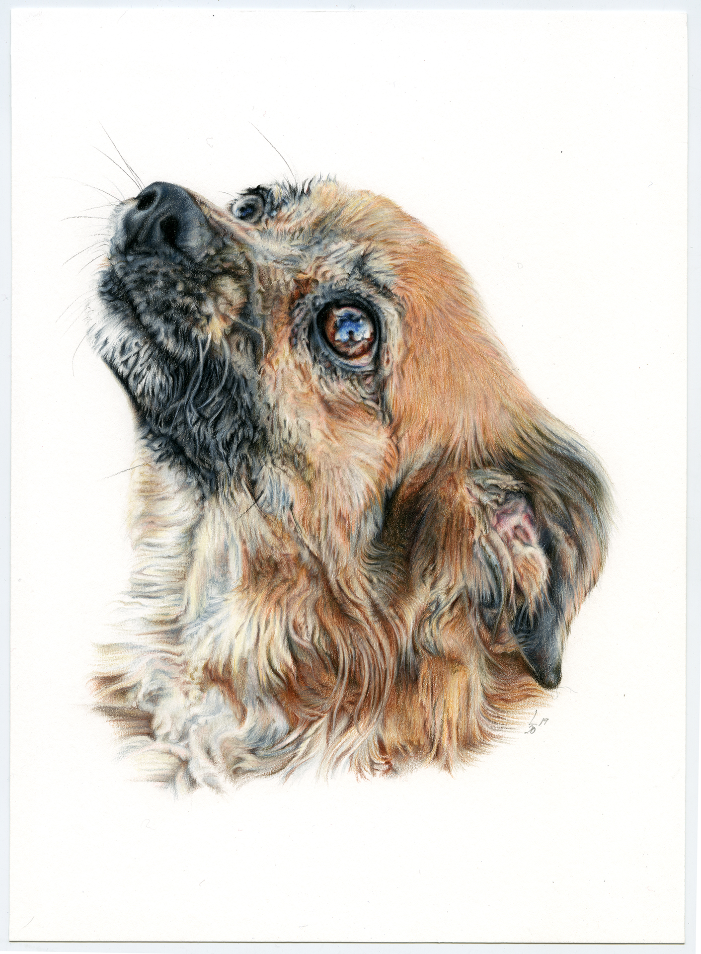 Retrato de Lucecita