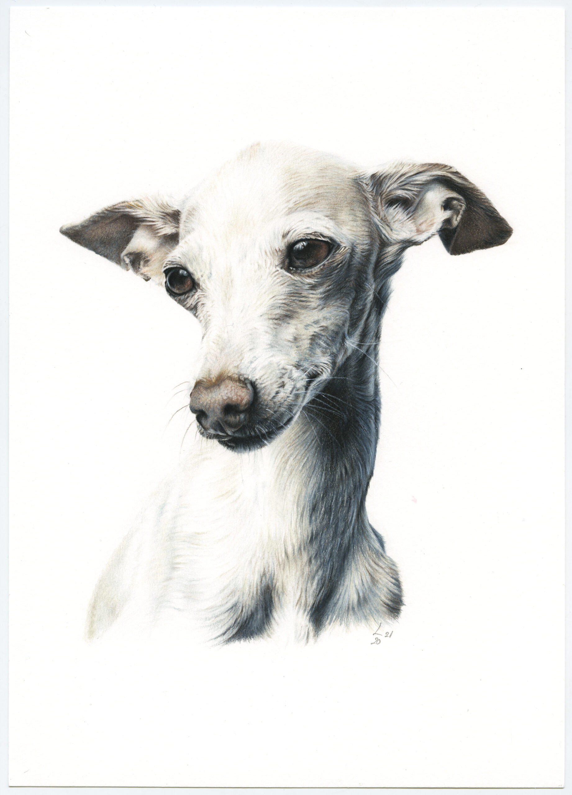 Retrato de Maki