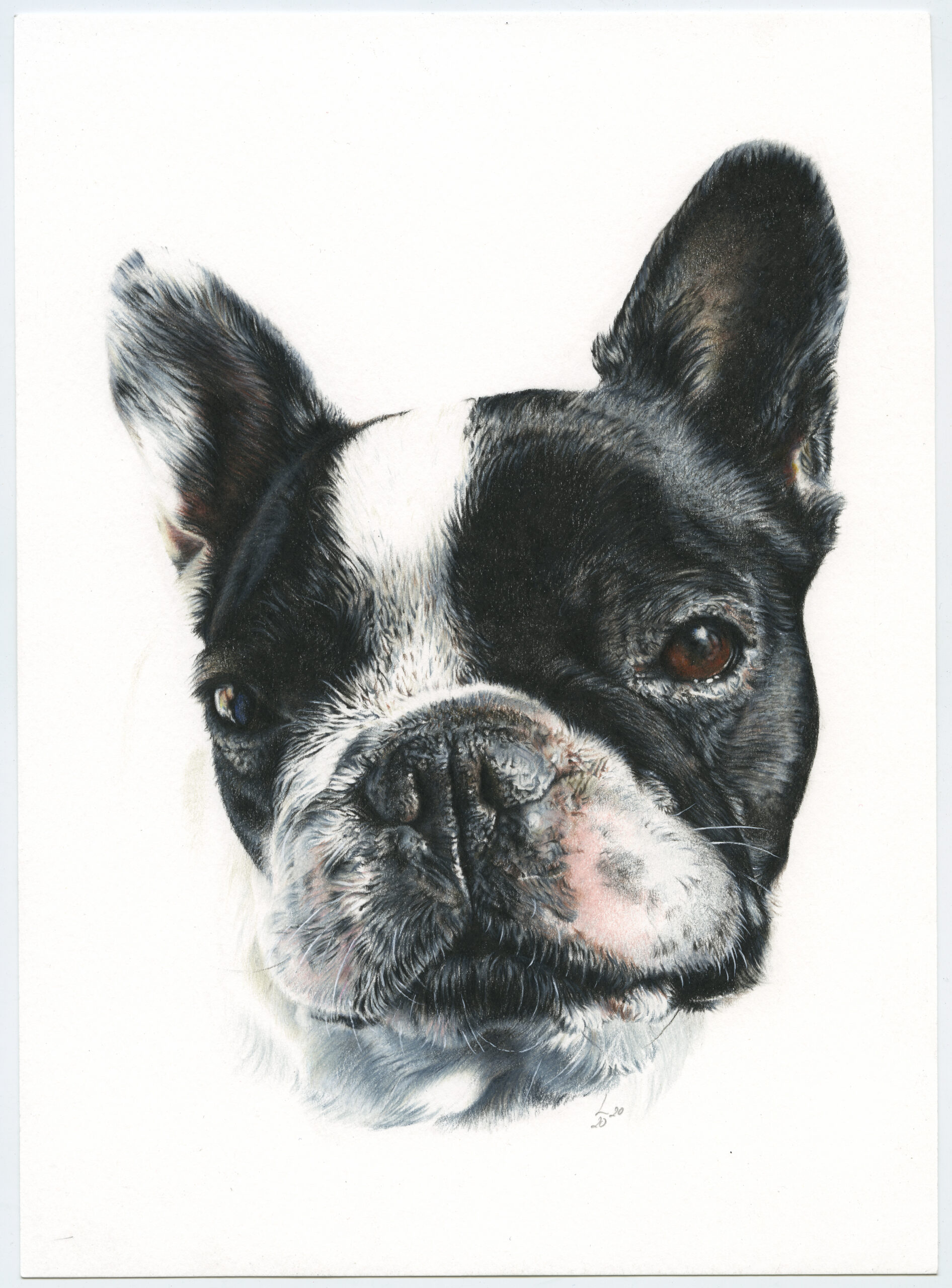 Retrato de Minnie