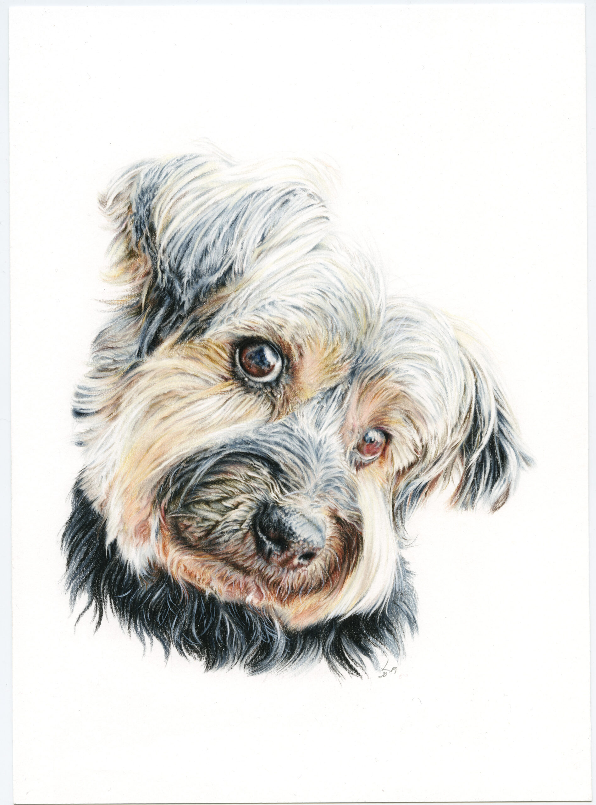 Retrato de Terry