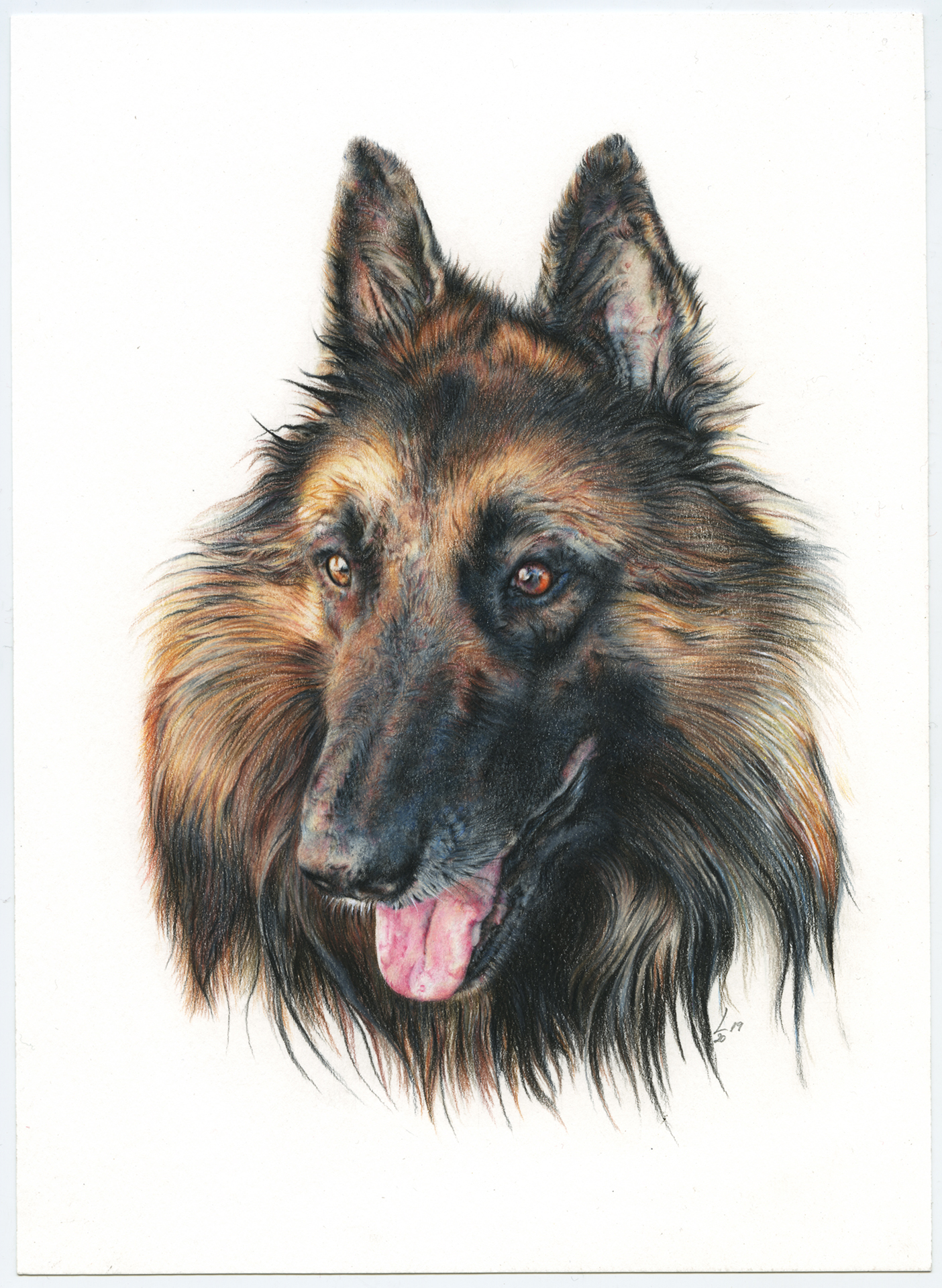 Retrato de Zar